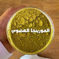 مسحوق المورينجا العضوي عالي  الجودة organic moringa powder