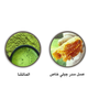 Mounain Sidr honey + Organic Matcha