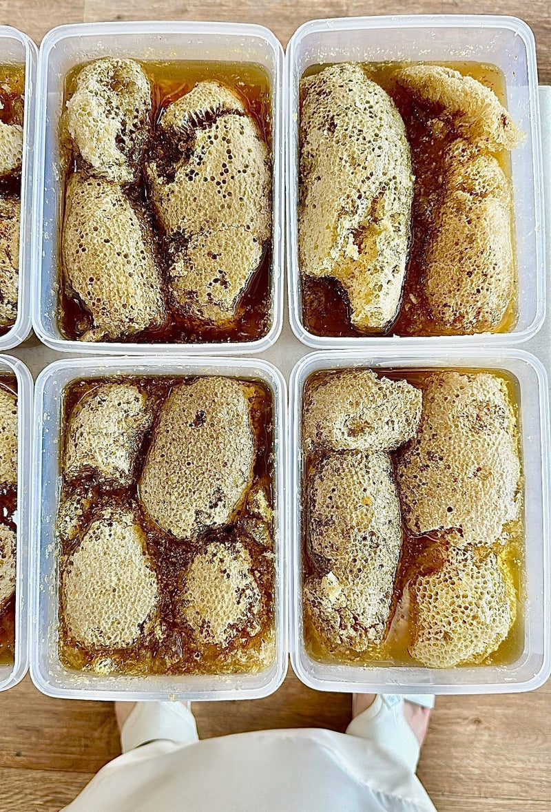 شمع عسل السدر النحل الحر العماني بدون تدخل الإنسان العلبه فيها 1 كيلو و نص